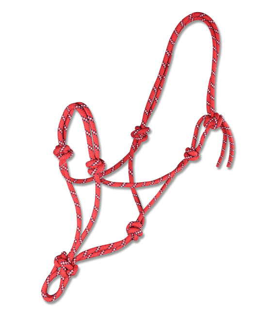 Waldhausen Licol Ethologique - SHOPHORSE